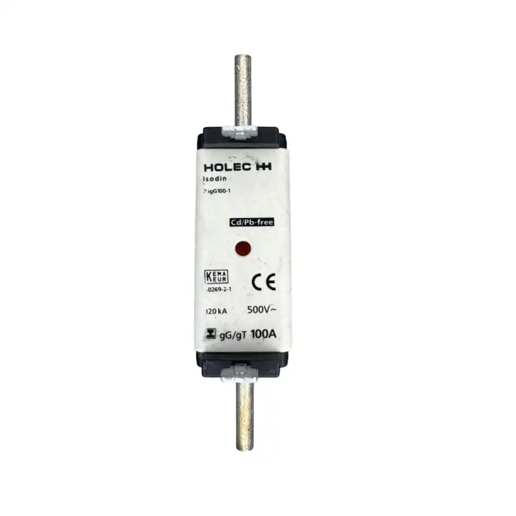 Holec-Isodin-P5gG1001-Bezpiecznik-100A-500V-120kA