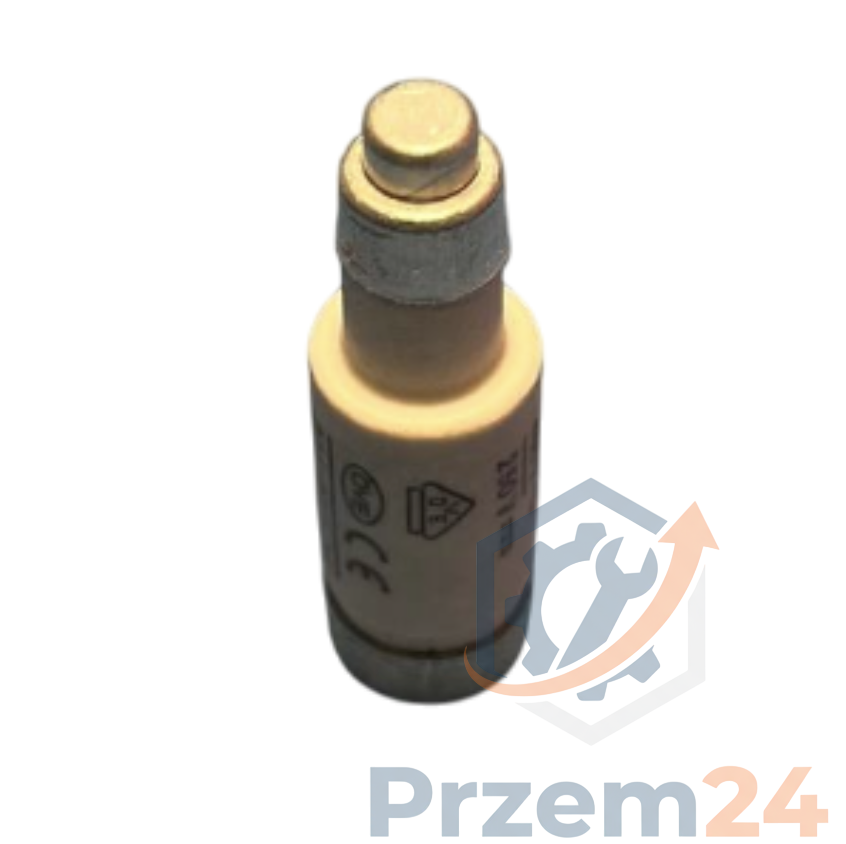 002211003-Wkładka-topikowa-D01-gG-6A-400V-(x7-sztuk)