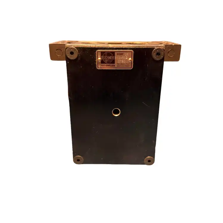 Euchner-GSBF-06-R12502-GSBF06R12502-Wyłącznik-krańcowy-10A-250V-3