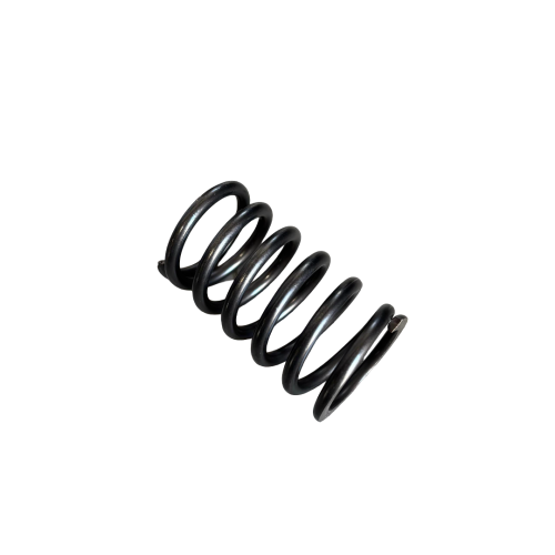 Rexroth-R910975251-Sprężyna-do-Rexroth-pompy
