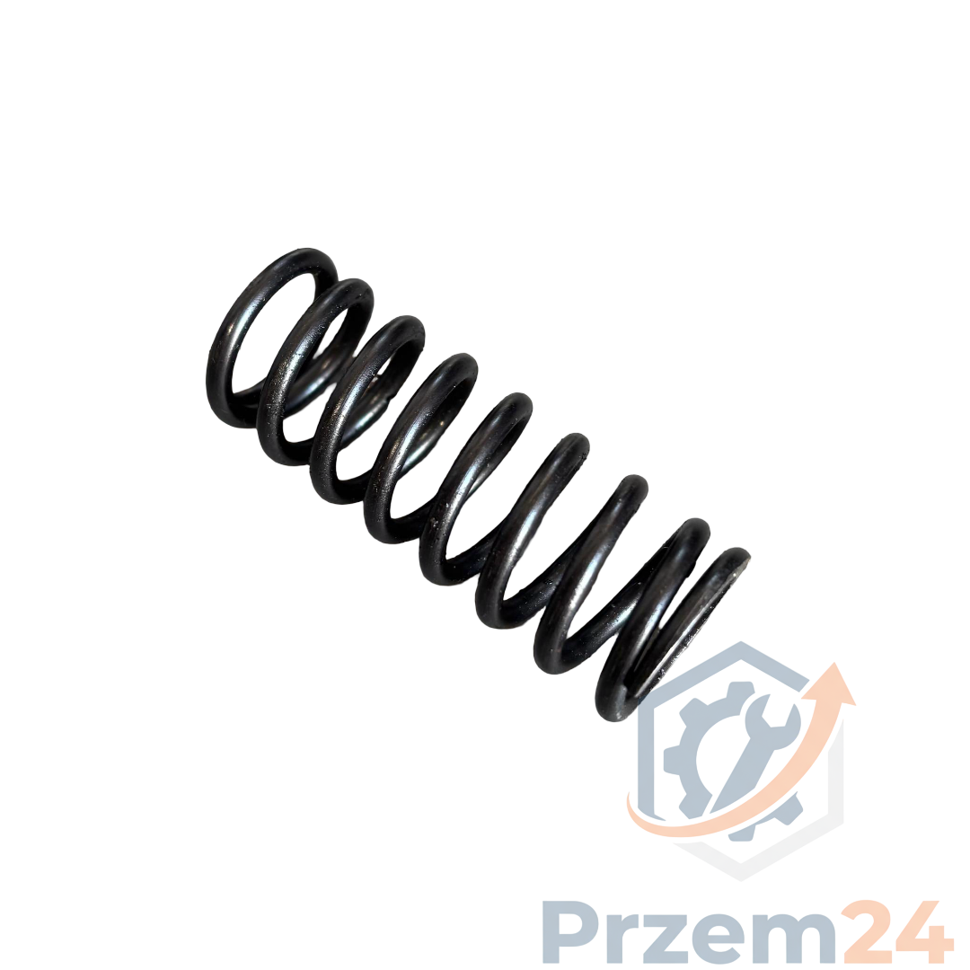 Rexroth-R902438577-Sprężyna-do-Rexroth-pompy