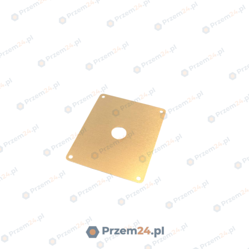 Bucher-100218778-Płyta-czołowa-do-wzmacniacza-Bucher-ELSK106-2
