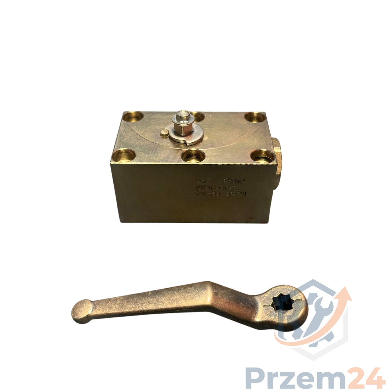 Pister-BKHU-DN13-1123-PN-500-Zawór-kulowy-do-montażu-panelowego