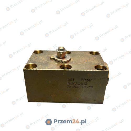 Pister-BKHU-DN13-1123-PN-500-Zawór-kulowy-do-montażu-panelowego-2