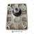 Galtech-2SM-A-110-R-EUR-K-N-10-0-N-1GM20010142-Silnik-hydrauliczny-4