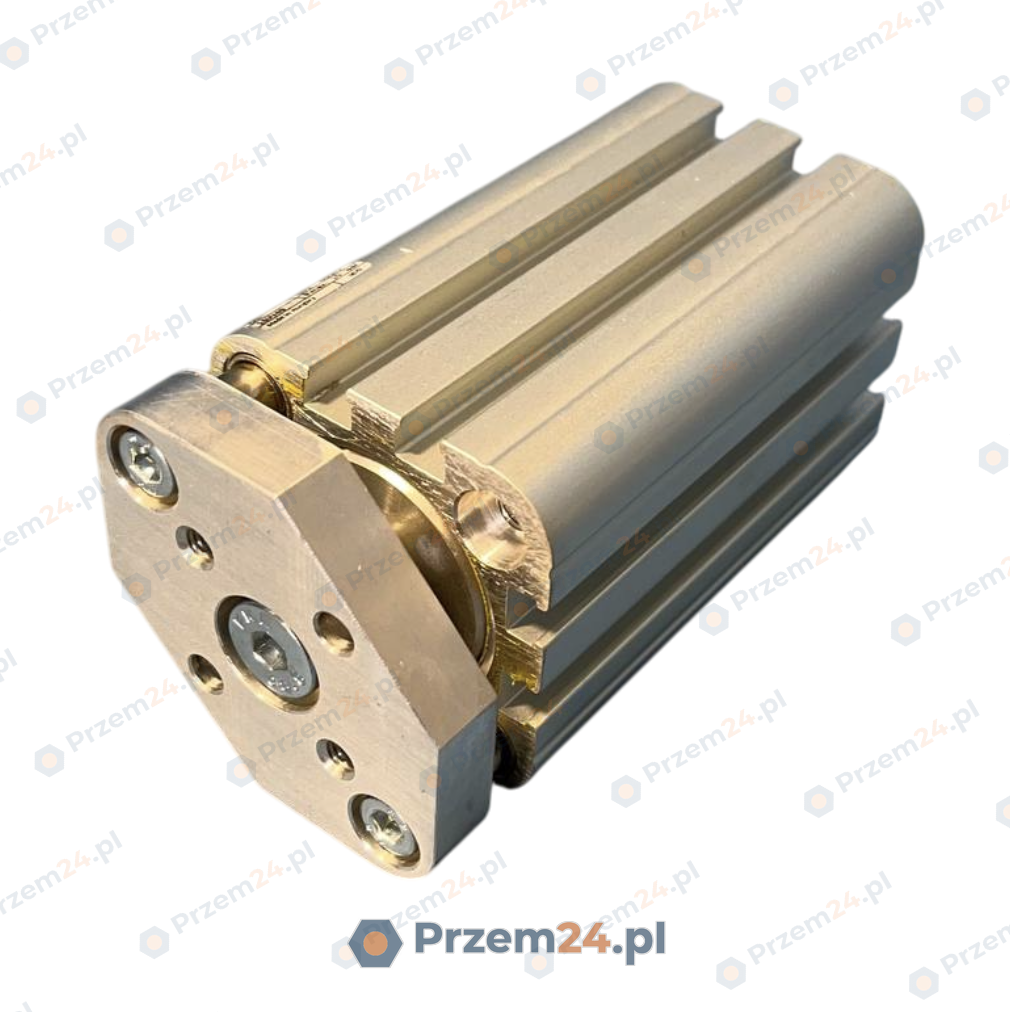 Aventics-R422001325-Siłownik-kompaktowy