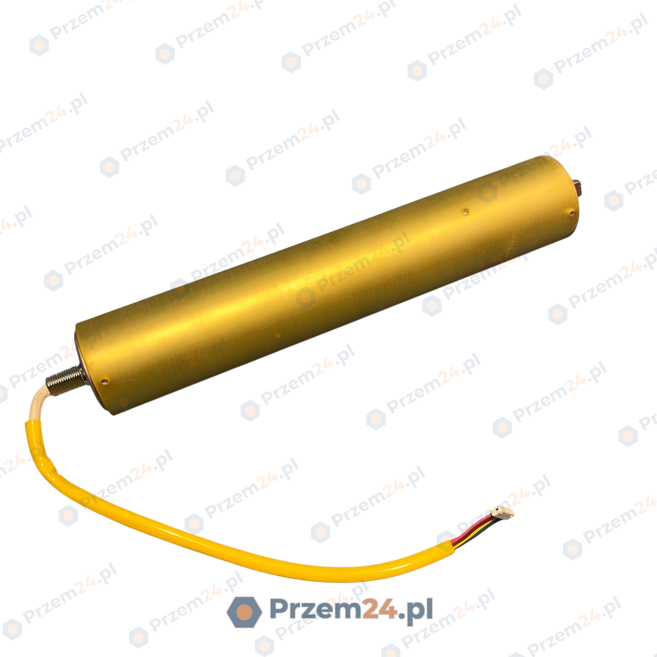 Pulseroller-PRAD4830030CEAA-Rolka-impulsowa-przenośnika-DC24V