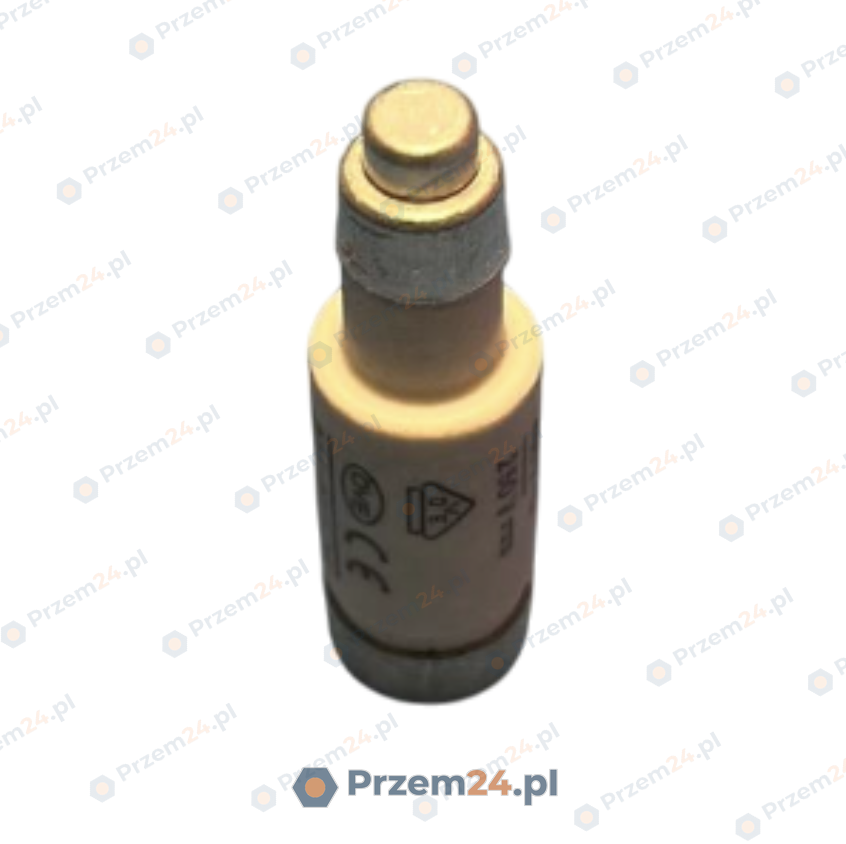 002211003-Wkładka-topikowa-D01-gG-6A-400V-(x7-sztuk)