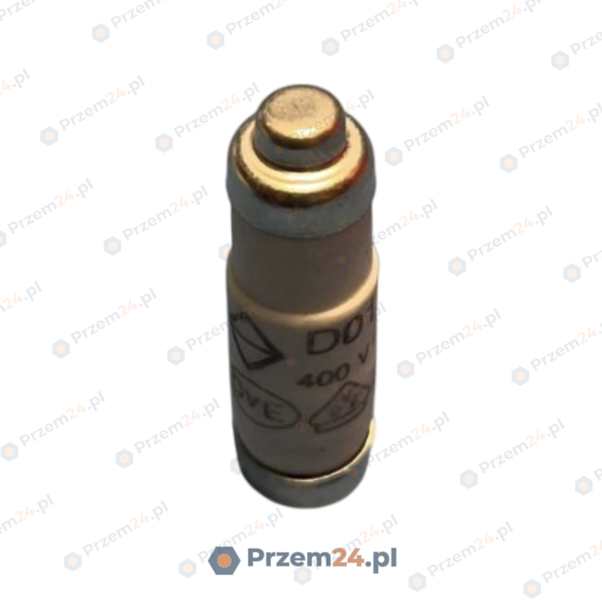 002211005-Wkładka-topikowa-D01-gG-16A-400V-(x6-sztuk)