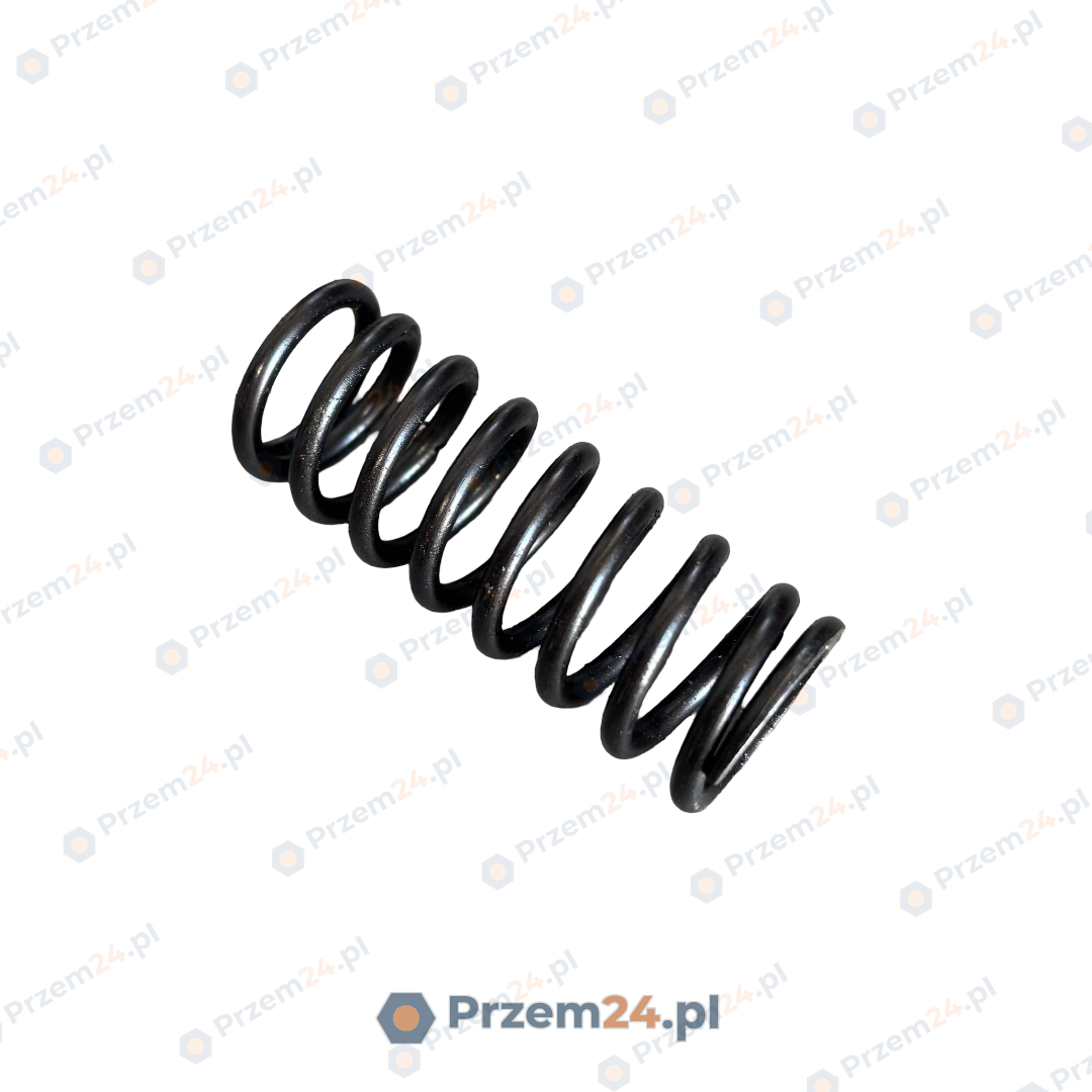 Rexroth-R902438577-Sprężyna-do-Rexroth-pompy