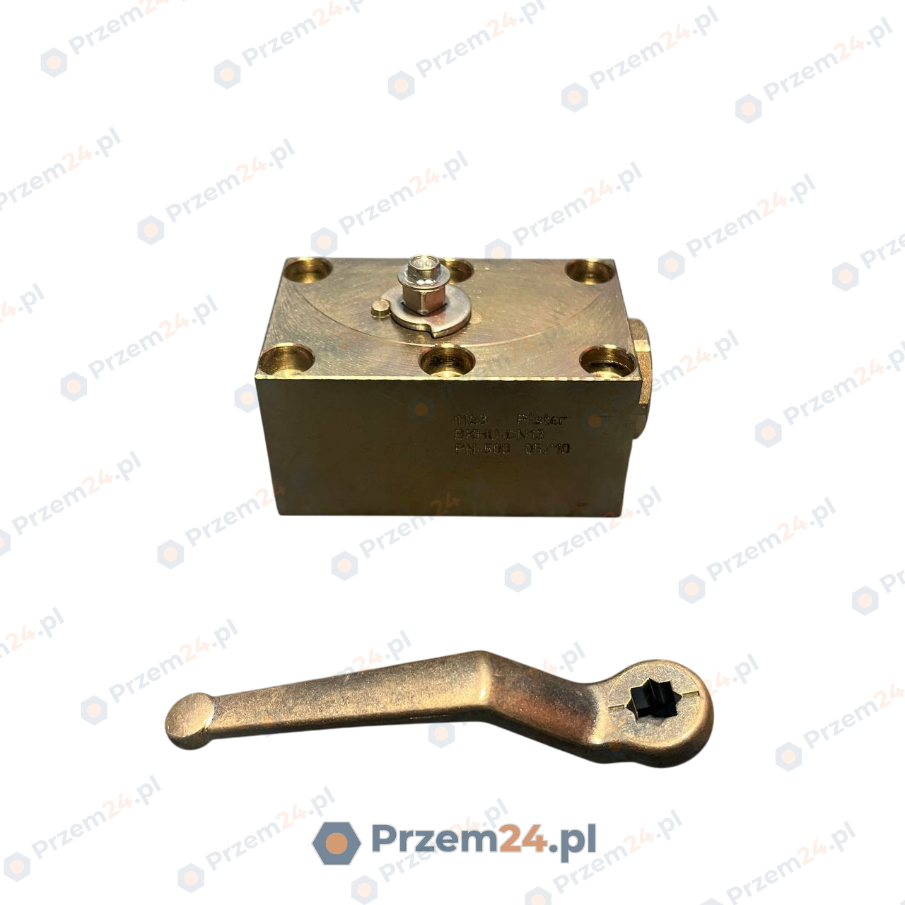 Pister-BKHU-DN13-1123-PN-500-Zawór-kulowy-do-montażu-panelowego